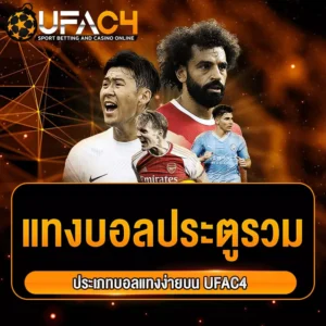 ประเภทบอลแทงง่าย